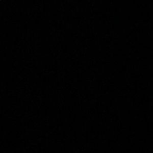 Meet your Posher, Ava